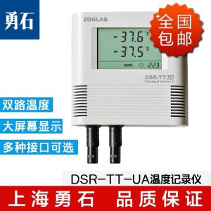 佐格DSR-TT 双温度记录仪
